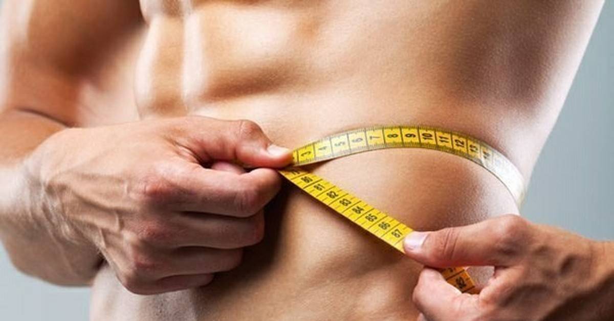 Откуда в организме берется жир, и где он прячется? :: polismed.com