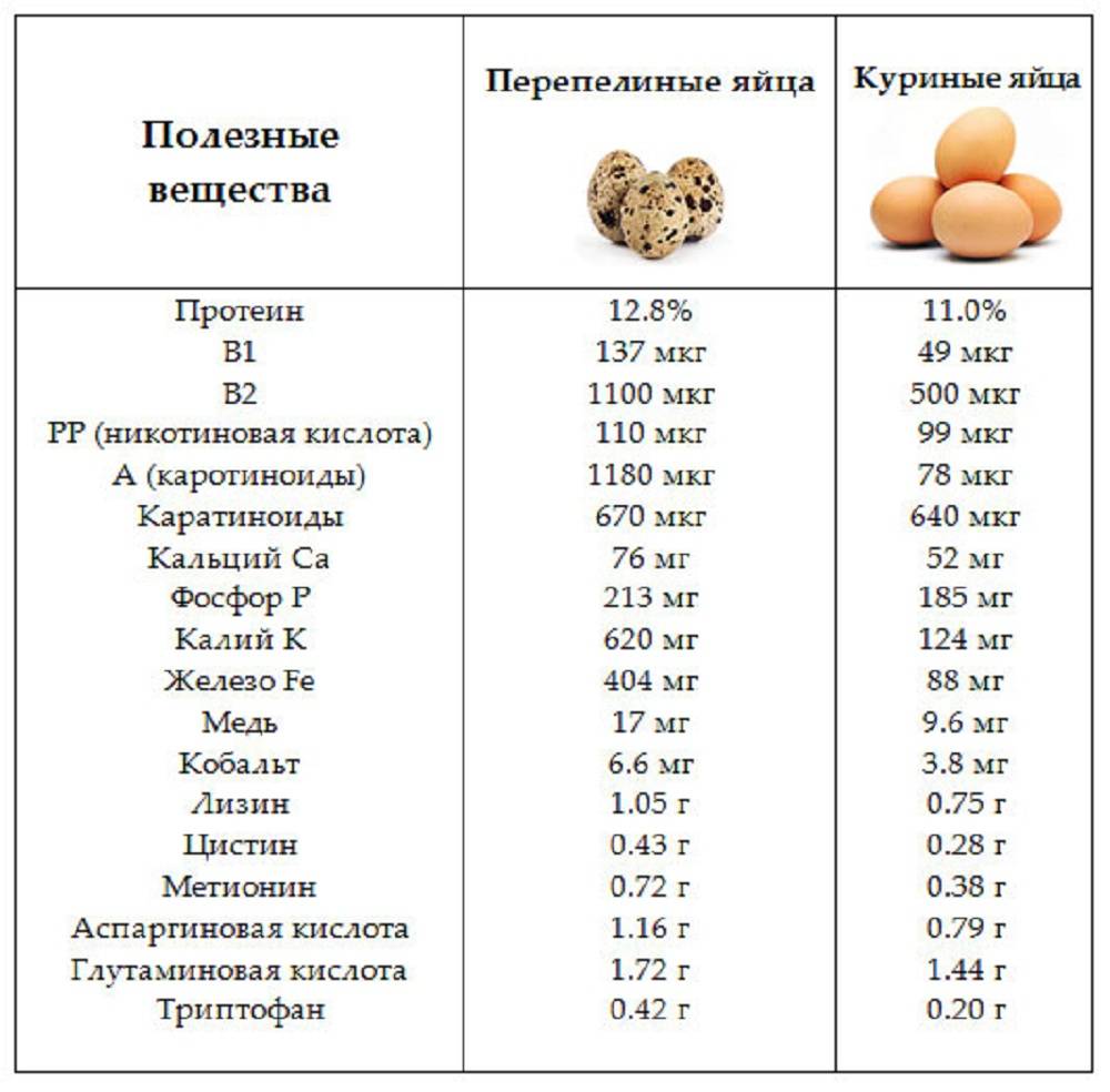 Яйцо куриное (вареное вкрутую) - калорийность, полезные свойства, польза и вред, описание