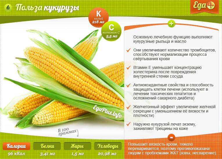 Калорийность кукурузы, её польза и вред