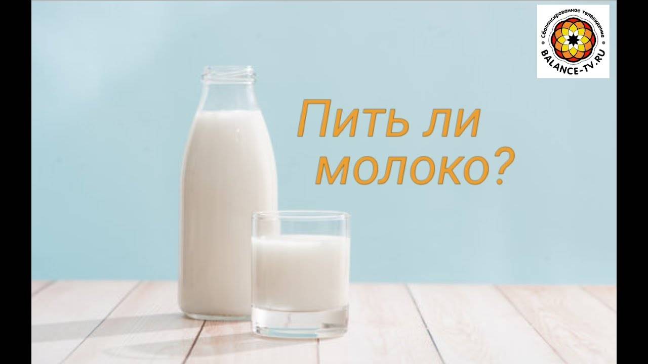 Можно ли пить молоко при похудении?