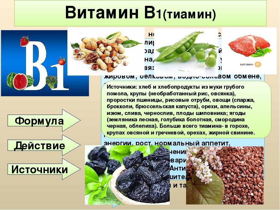 B1 (витамин): применение, описание действия, физиологическая роль. в каких продуктах содержится витамин b1 :: syl.ru