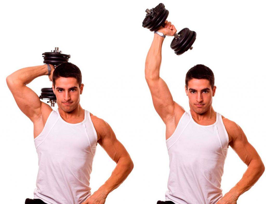 4 самых эффективных упражнения на трицепс с гантелями для спортзала и дома