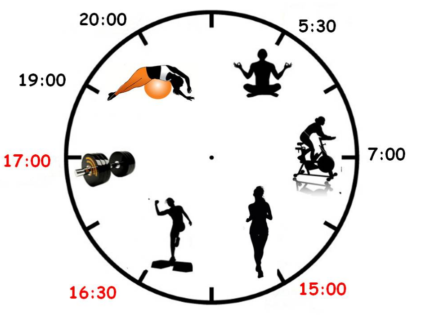 Сколько время в режиме. Время тренировки. Лучшее время для занятий спортом. В какое время суток лучше заниматься спортом. Оптимальные часы для занятия спортом.