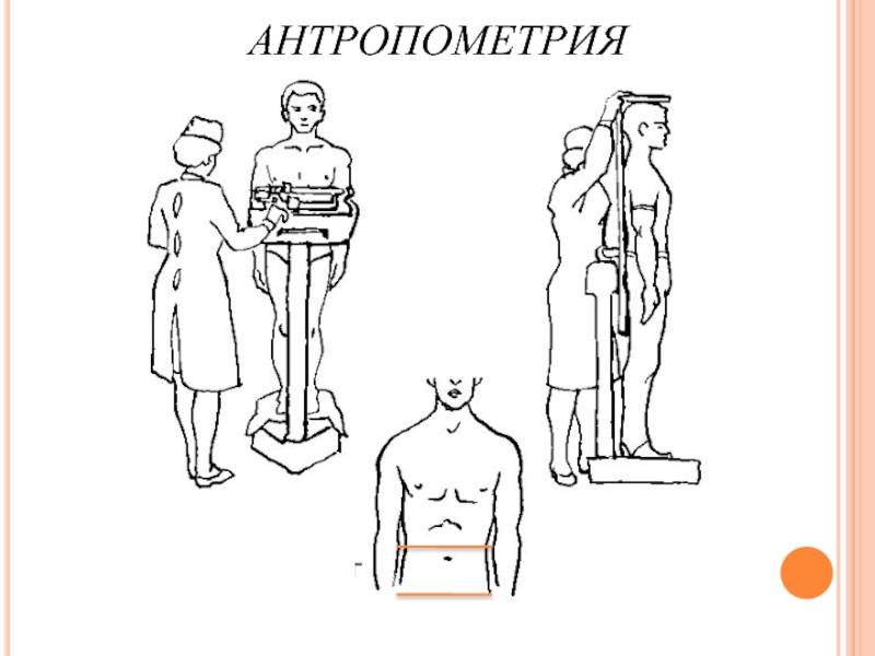 Антропометрия — большая медицинская энциклопедия