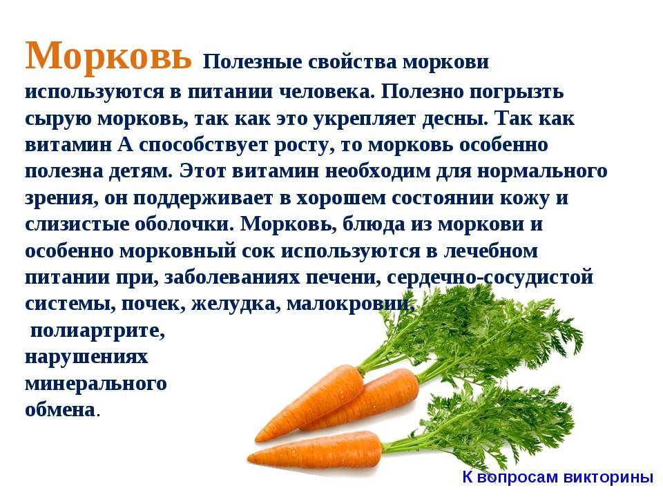Сколько калорий в моркови на 100 грамм, калорийность и бжу в свежей морковке