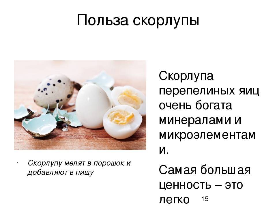 Яйца перепелиные и куриные: польза, вред. соотношение калории