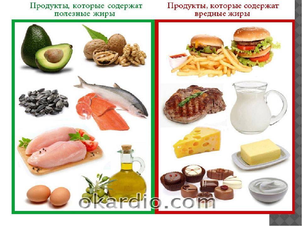 Почему нельзя отказываться от жирных продуктов, садясь на диету - parents.ru