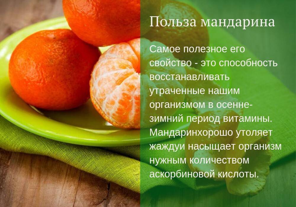 Польза и вред апельсинов, калорийность, состав, отзывы