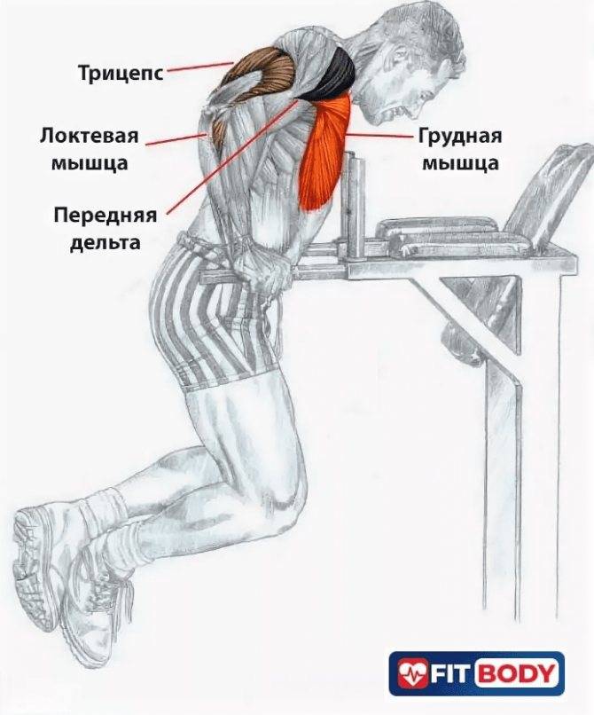 Упражнения для прокачки плеч