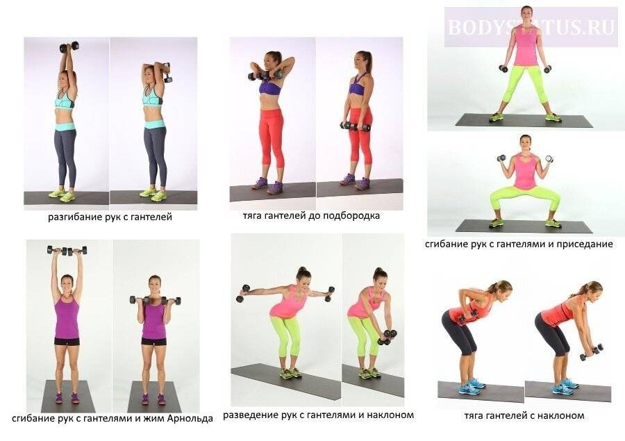 Упражнения с гантелями для женщин и девушек: комплекс для похудения с видео (10+ фото и видео)