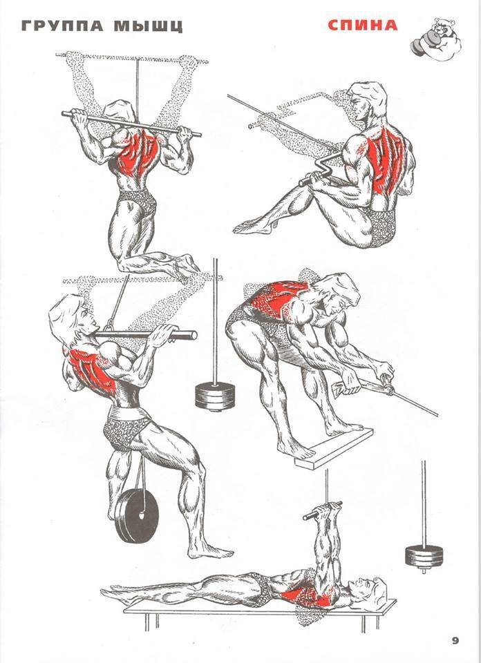 Тренировка мышц спины в тренажерном зале