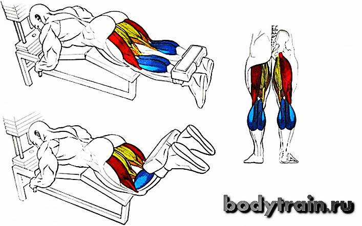 Сгибание ног в тренажёре лёжа на животе — какие мышцы работают, техника выполнения, чем заменить