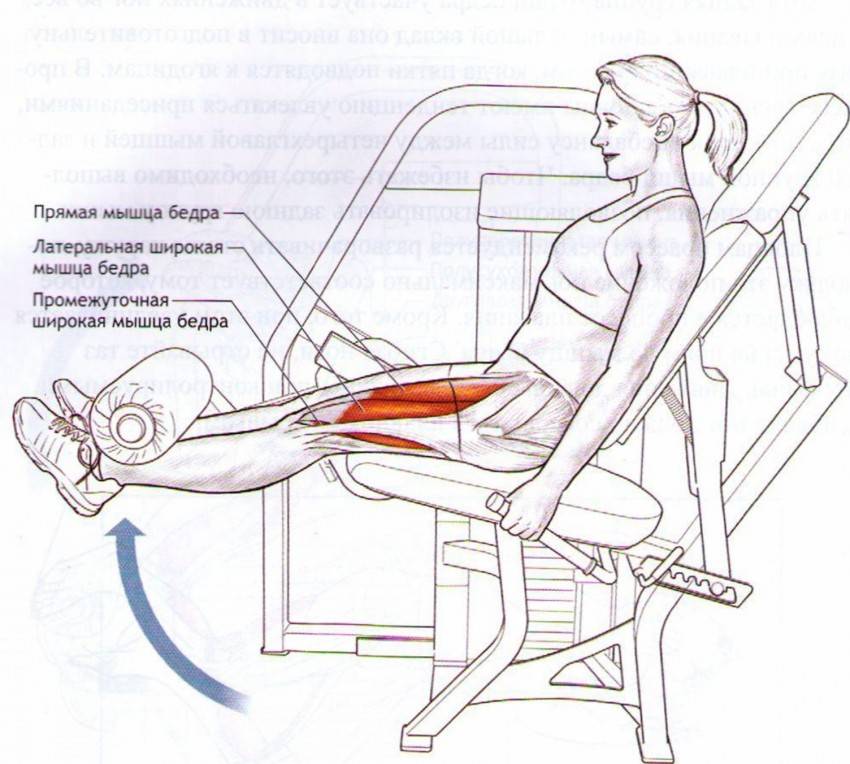 Приседания в тренажёре смита. мощное упражнение для мышц ног!