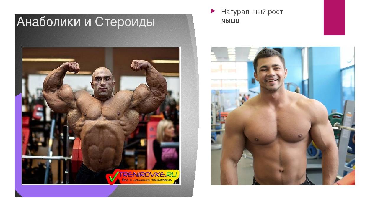 Стероиды для роста мышц. для быстрого увеличения мышечной массы :: syl.ru