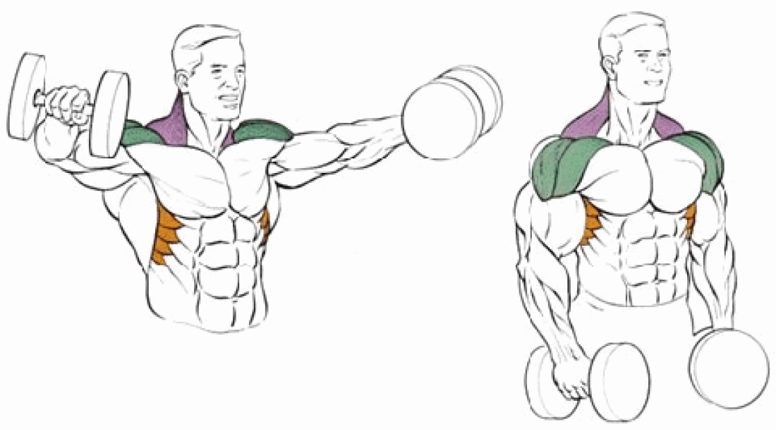Махи гантелями в стороны - упражнение для развития плечевого пояса, техника и рекомендации по выполнению махов гантелями в стороны