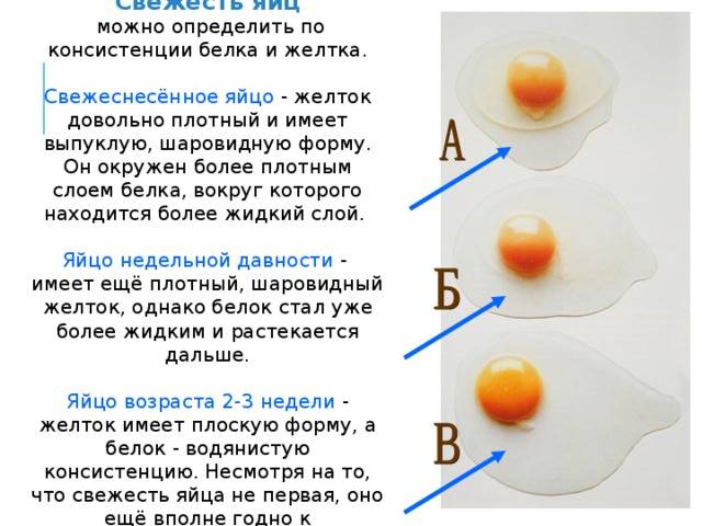 Яйцо куриное: польза и вред. ешьте яйца смело – не дайте их отнять!