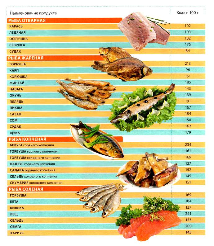 Таблица калорийности продуктов и готовых блюд на 100 грамм скачать
