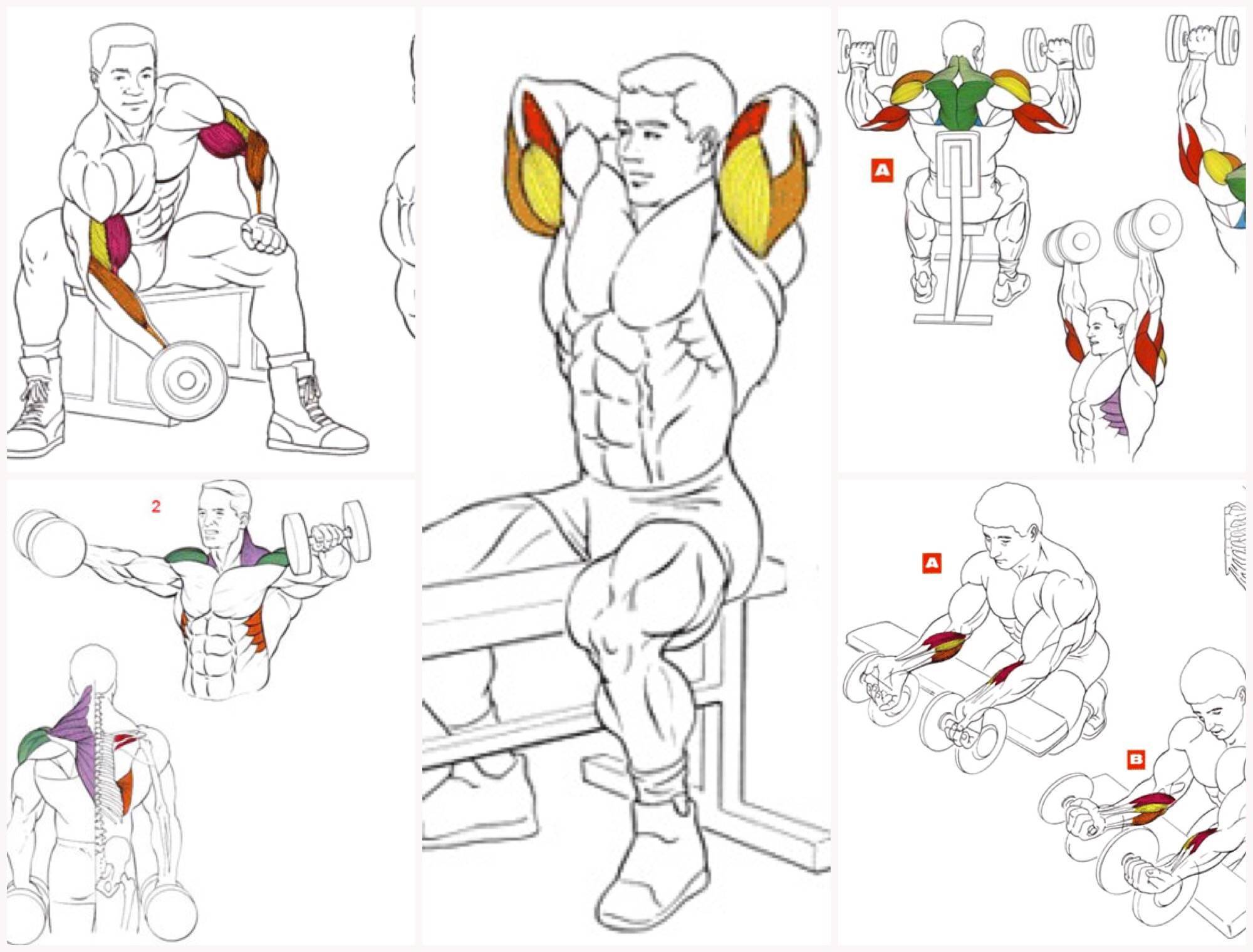 Как накачать мышцы