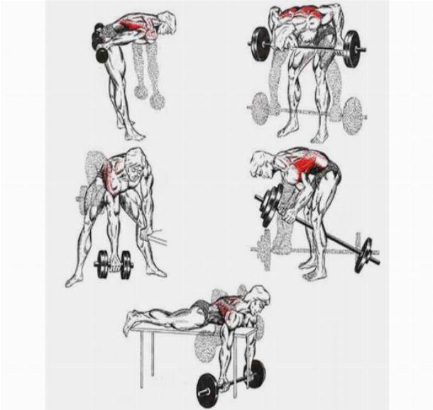Упражнения для спины с гантелями и штангой. как накачать мышцы спины. про совмещение тренировки спины с другими мышцами. некоторые важные вопросы, которые стоило осветить