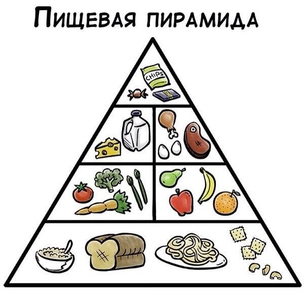 Рацион питания человека, пищевая пирамида питания
