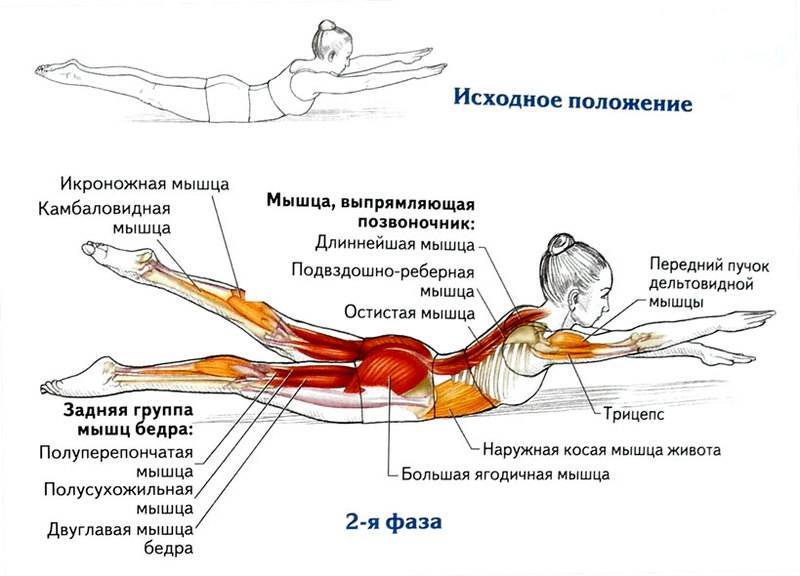 Тренировка мышц кора: проработка мышц-стабилизаторов |