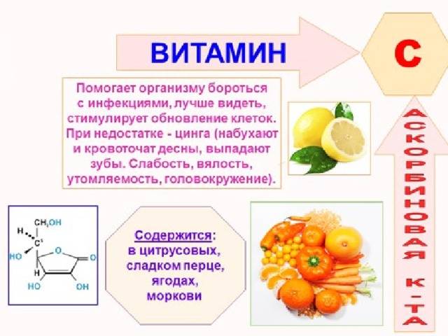 Витамин b12: польза и вред