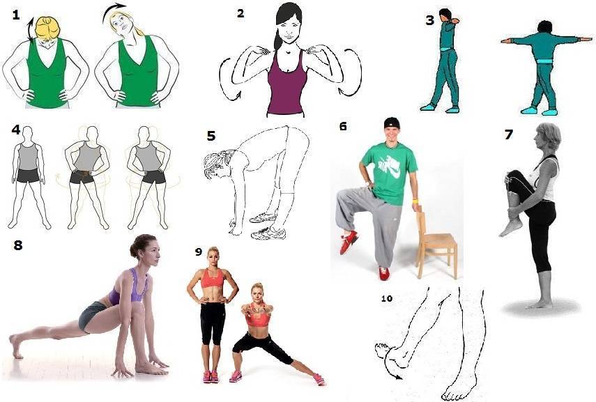 Упражнения на растяжку мышц в тренажерном зале (после тренировки)