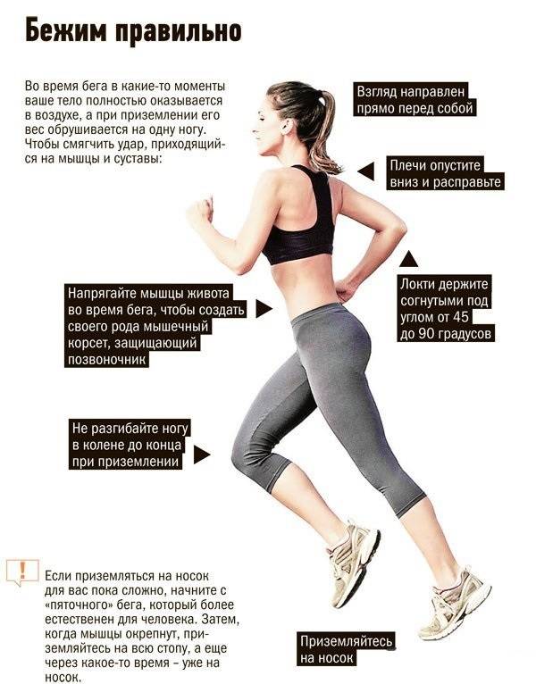 В какое время лучше заниматься физическими упражнениями и как тренироваться учитывая биологические ритмы? | rulebody.ru — правила тела