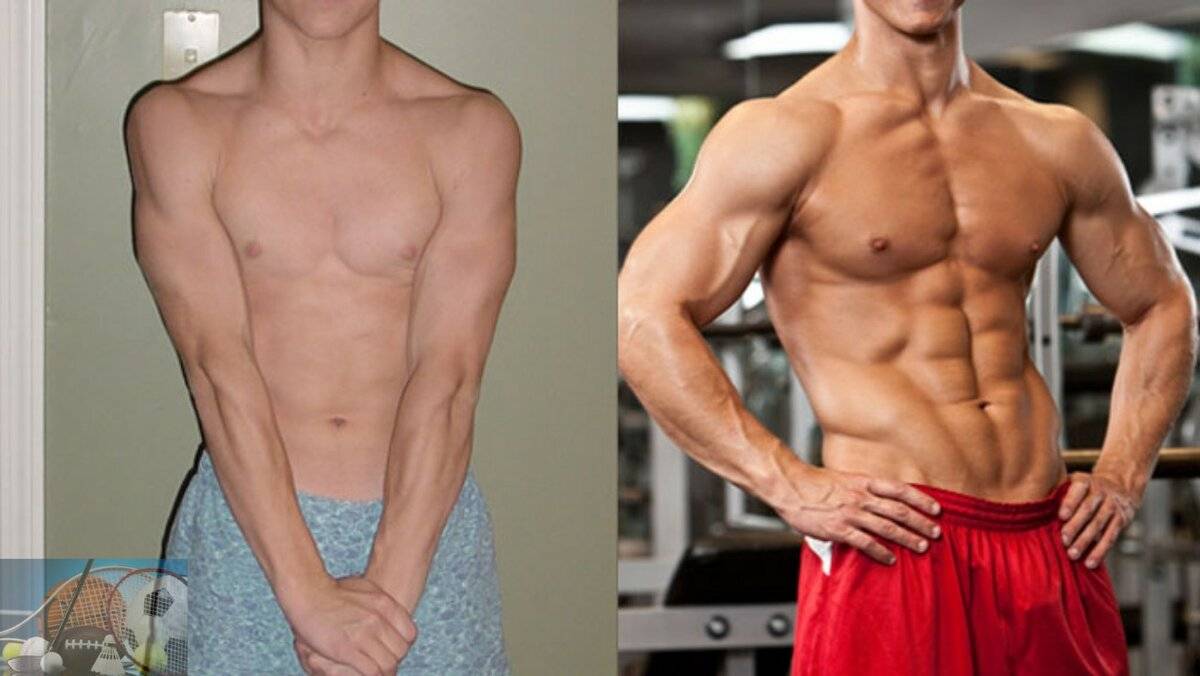 Почему не растут мышцы: 14 причин (генетика, неправильное питание и ошибки в тренировках)