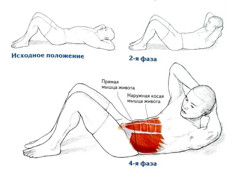 Упражнения на косые мышцы живота для мужчин и женщин: (программа тренировок в домашних условиях и зале)