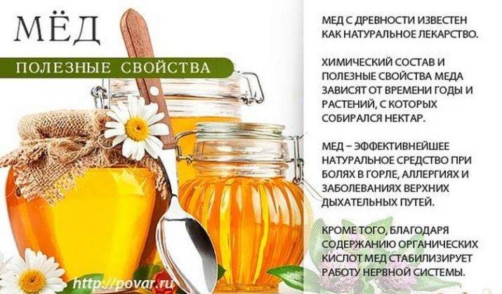 Полезно ли варенье: его полезные свойства, остаются ли в нем витамины, какое самое лучшее для здоровья, что полезнее мед, сахар, шоколад