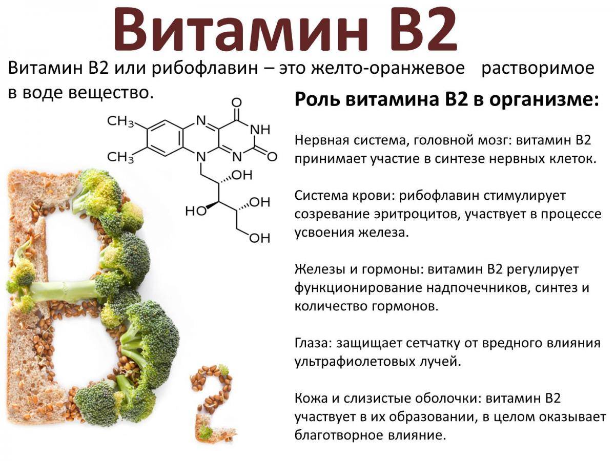 Витамины b1, b6, b12: польза и вред, на что влияют, для чего применяют, свойства