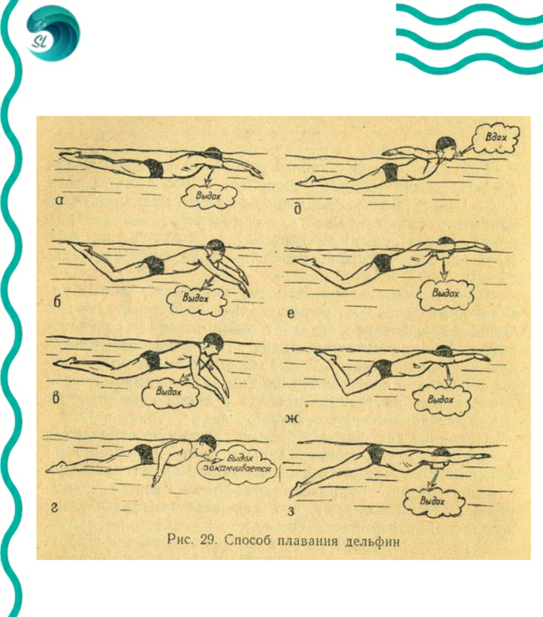 Обзор популярных стилей плавания в бассейне, их отличия и особенности