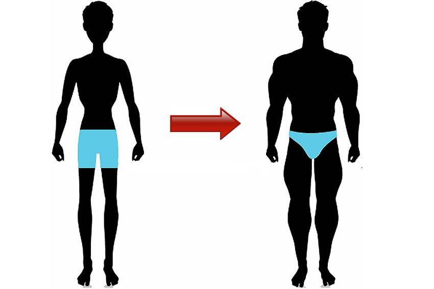 Как набрать массу тела худому парню, быстро и эффективно поправиться мужчине без стероидов