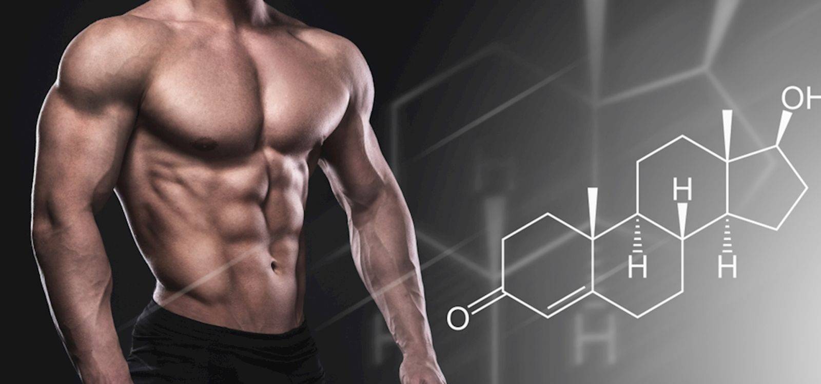 Стимулирует ли повышение тестостерона, гормона роста и ифр-1 после упражнений с отягощениями анаболизм и гипертрофию скелетных мышц?