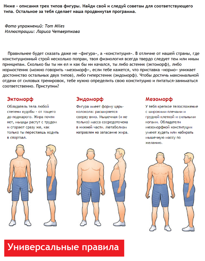 Тип телосложения: эктоморф, мезоморф, эндоморф 
тип телосложения: эктоморф, мезоморф, эндоморф