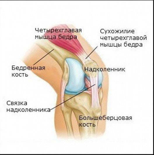 Боль в колене при ходьбе | артромедцентр