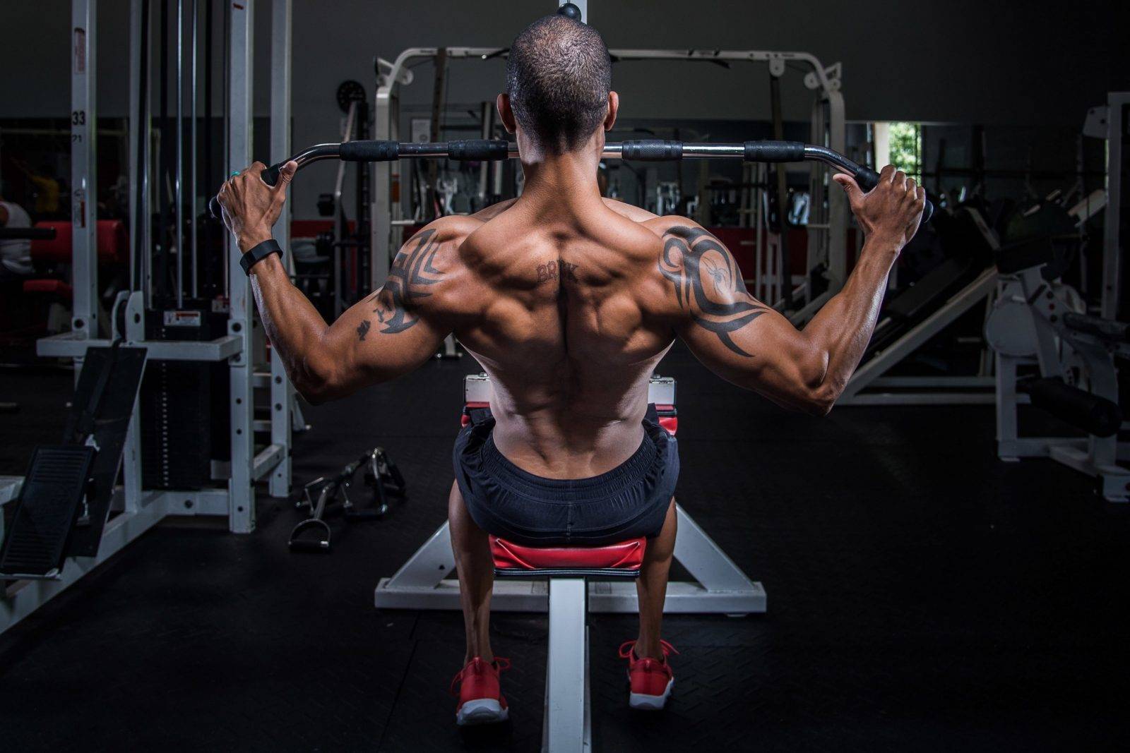 Как накачать мышцы спины - советы для новичков и опытных атлетов