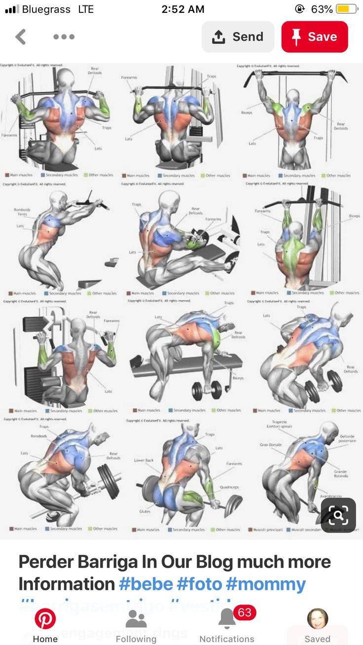 Тренировка грудных мышц и спины в один день