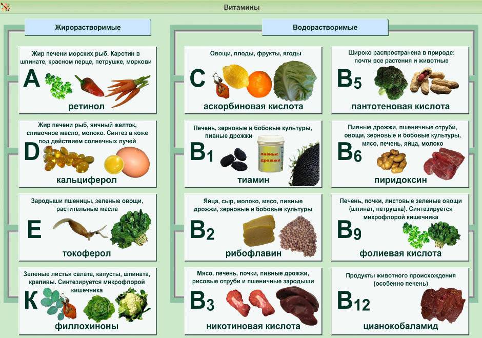 Польза витаминов и минералов - необходимые для здоровья витамины и минералы - agulife.ru