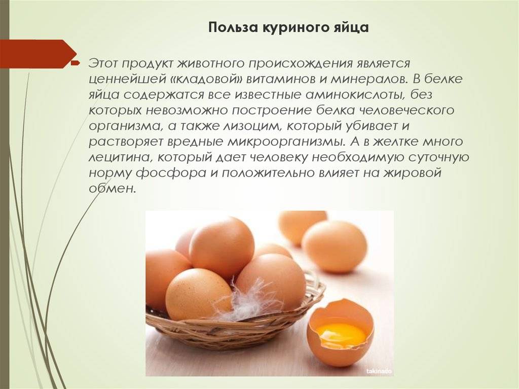Яйцо калорийность. сколько ккал в 1 шт вареное, жареное, всмятку, вкрутую, желток, белок одного куриного яйца
