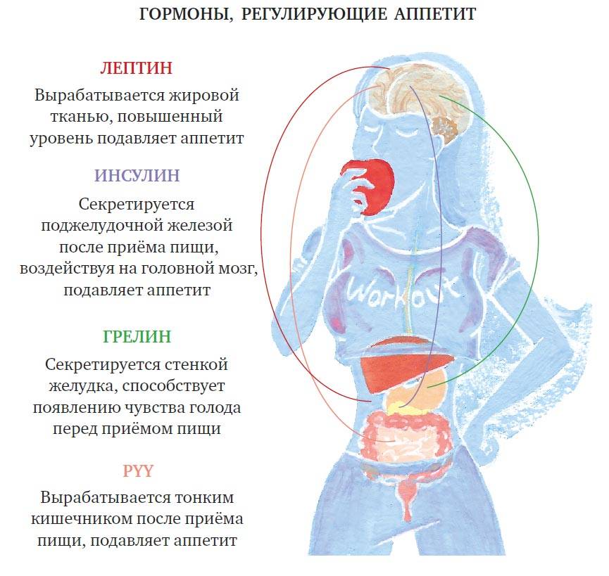 Синдром хронической усталости | семейный доктор