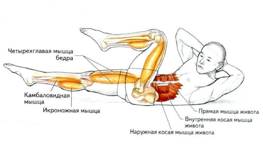 Как правильно выполнять русские скручивания для проработки мышц живота?