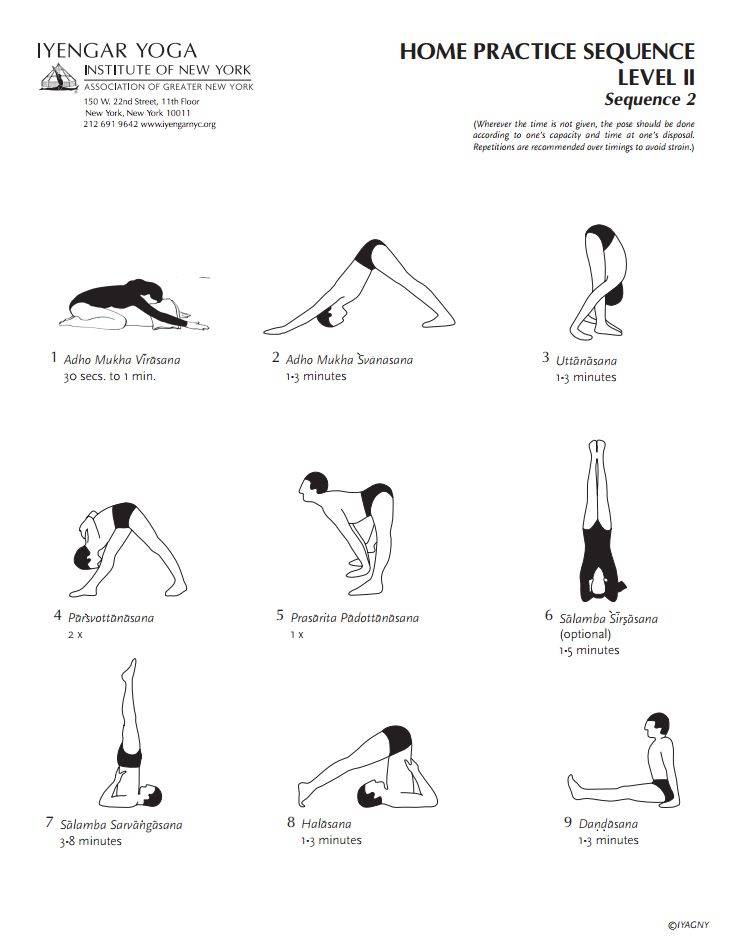 Хатха-йога для начинающих: самые первые позы - полезные советы от vikiland