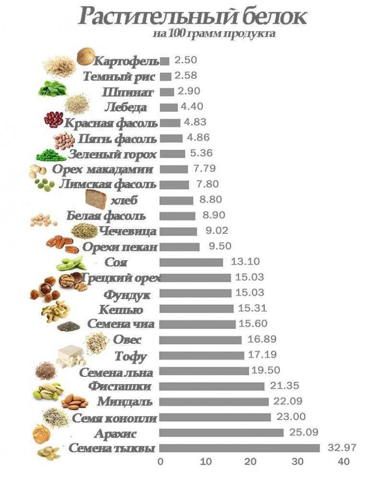 Продукты с высоким содержанием белка топ-20 - glamusha
