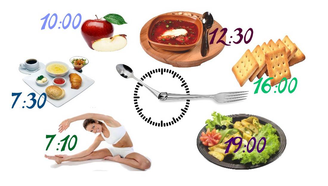 Сколько раз в день нужно есть, чтобы похудеть: как часто надо кушать и в какое время, количество грамм каждый прием пищи