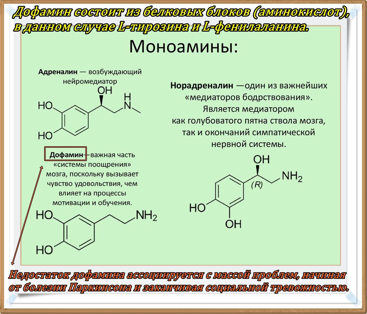 Гормон дофамин фото