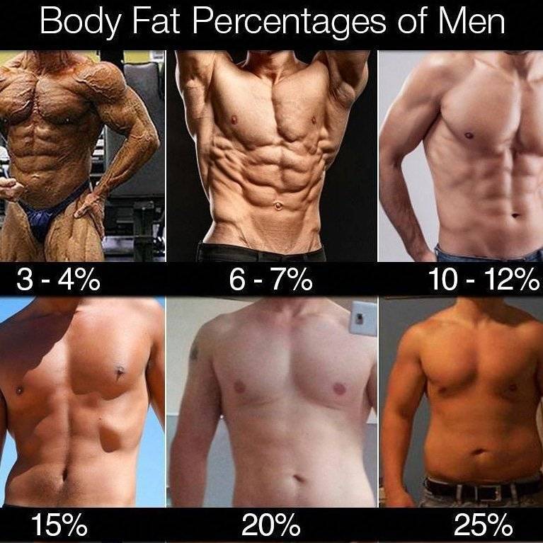 Процент жира в организме мужчины и женщины в картинках