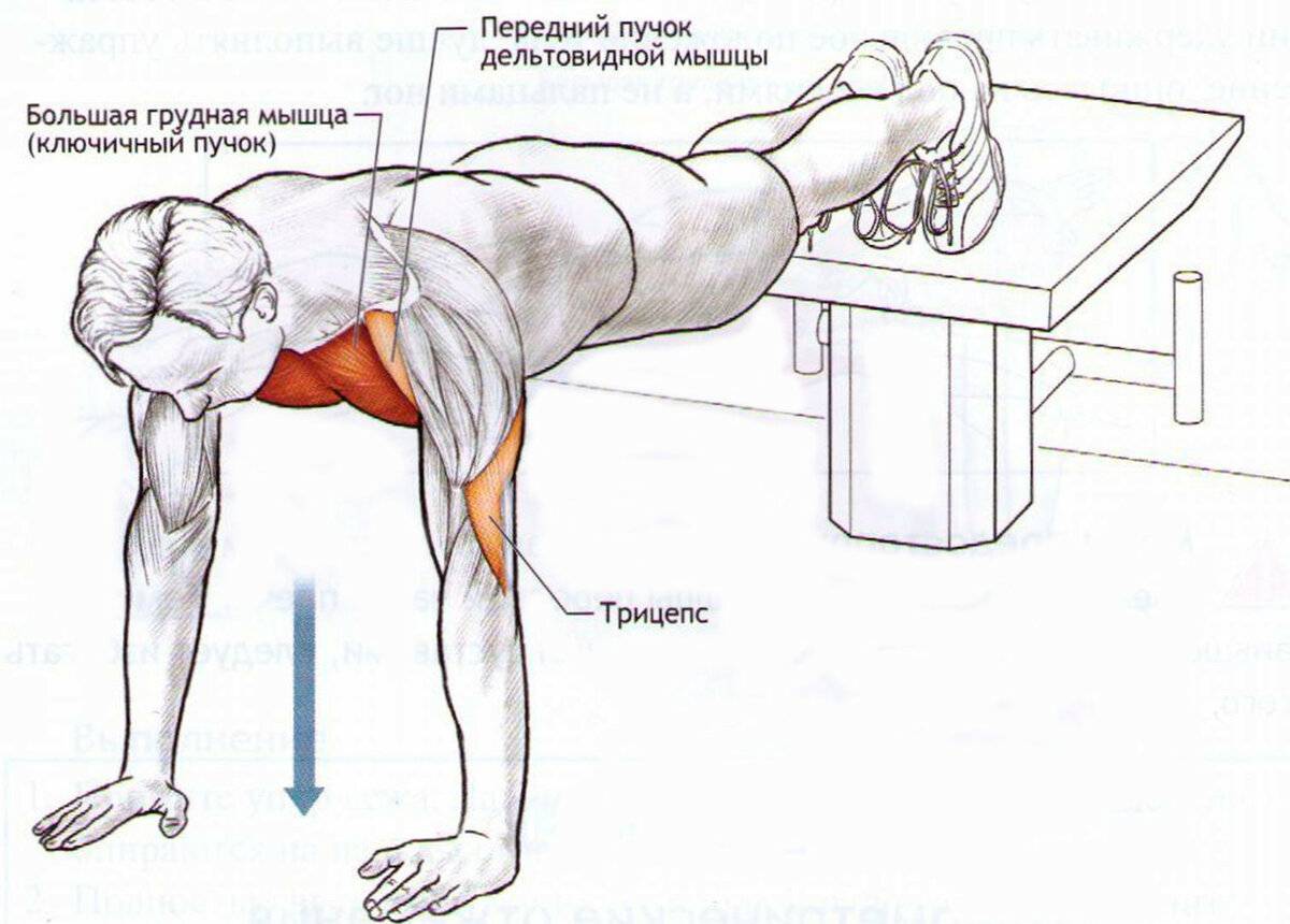 Как накачать мышцы в домашних условиях: упражнения и тренировка