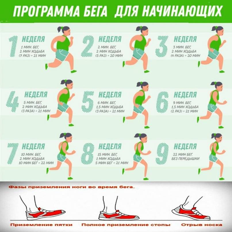 Как правильно бегать чтобы похудеть в животе и ногах, когда лучше проводить тренировки и как дышать, видео
